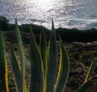 Ven  Marks Place - Accommodation in Brisbane