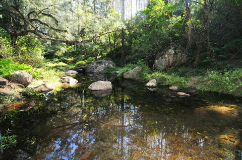 Alcheringa Cottage - Accommodation in Brisbane 5