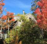 Cloudsong Chalet 4 Close to the village centre - Accommodation in Brisbane