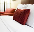 City House - Accommodation in Brisbane