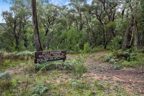 THE TEACHERS COTTAGE - Accommodation in Brisbane 5