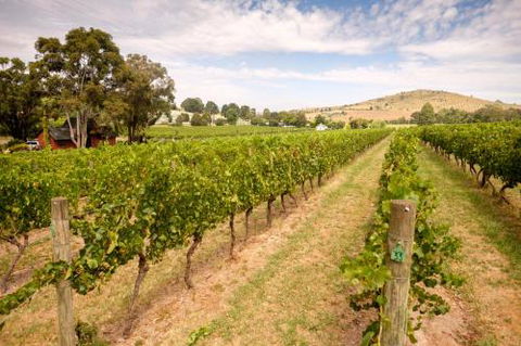 Fergusson Winery Homestead Accomodation - Accommodation in Brisbane 3