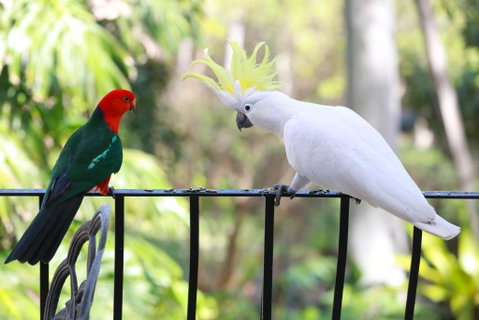 Palm Beach Bed & Breakfast - Accommodation in Brisbane 4