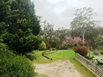 Acacia House Retreat Daylesford - Accommodation in Brisbane 1