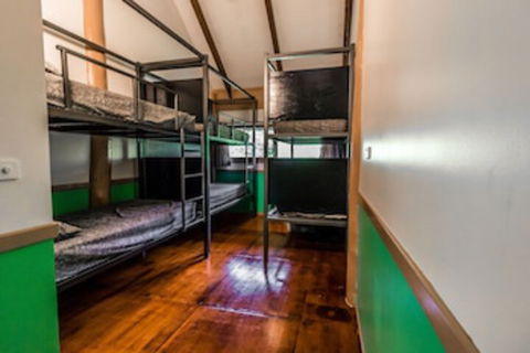 Jackaroo Treehouse Mission Beach - Accommodation in Brisbane 0