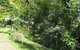 Westella Colonial B&B - thumb 6