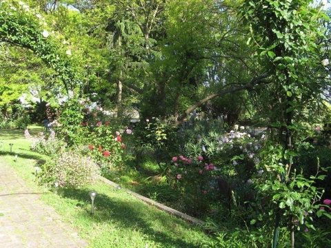 Westella Colonial B&B - Accommodation in Brisbane 6