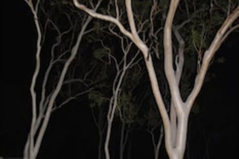 Sunbird Motel - Accommodation in Brisbane 4