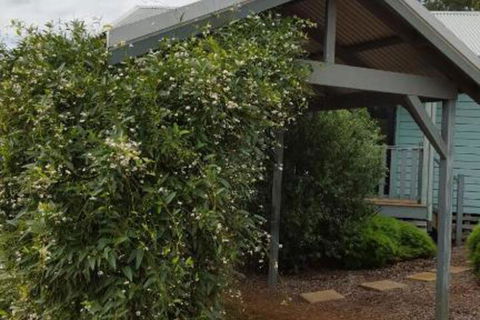 Rainbow Trail Chalets - Accommodation in Brisbane 7