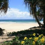 Ozone Shores - Accommodation in Brisbane 0