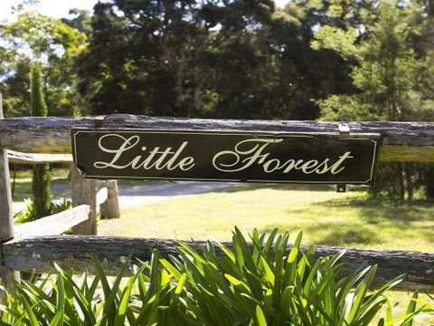 THE ANGAS CARRIAGE Alpine Southern Highlands 4pm Check Out On Sundays - Accommodation in Brisbane 5