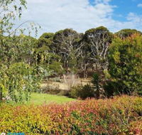 The Old Picnic Ground at Ironstone B  B