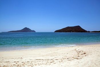 Radburn Unit 2 17 Ondine Close - Accommodation in Brisbane 4