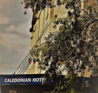Caledonian Hotel - Accommodation in Brisbane