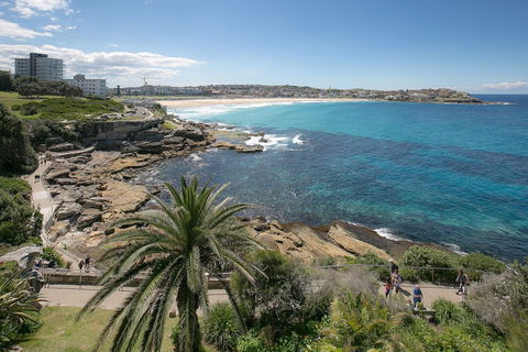 Ultimate Bondi Escape - Accommodation in Brisbane 4
