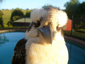 Belle La Vie B & B - Accommodation in Brisbane 3