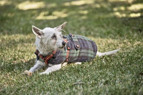 BEACH WITHIN REACH - Accommodation in Brisbane 4