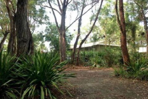 Port Stephens Koala Sanctuary - Accommodation in Brisbane 2