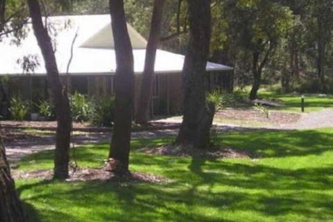 Port Stephens Koala Sanctuary - Accommodation in Brisbane 6