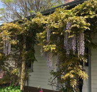 Clarence Cottage - Accommodation in Brisbane