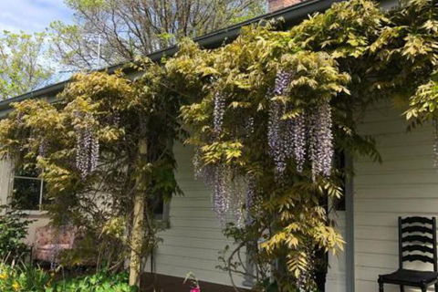 Clarence Cottage - Accommodation in Brisbane 0