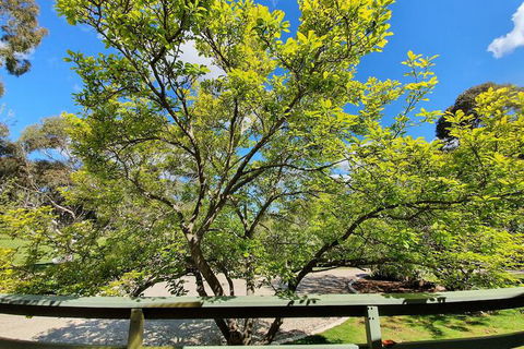 Annies Holiday Units - Accommodation in Brisbane 2