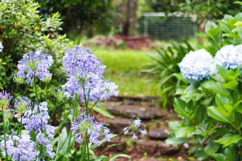 Mt Glorious Getaways - Accommodation in Brisbane 4