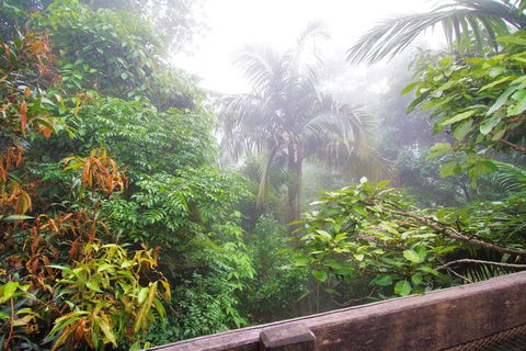 Mt Glorious Getaways - Accommodation in Brisbane 7