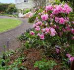 Anabels of Scottsdale - Accommodation in Brisbane