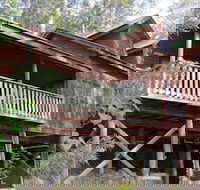 Barrington Wilderness Cedar Lodge Accommodation - Accommodation in Brisbane