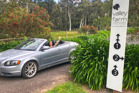Valley Farm Vineyard Cottages - Accommodation in Brisbane 0