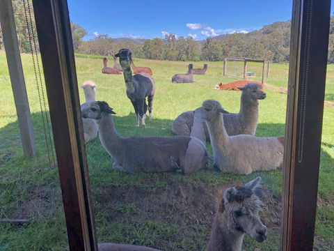 Valley Farm Vineyard Cottages - Accommodation in Brisbane 2