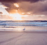 Blue Waters Motel - Accommodation in Brisbane