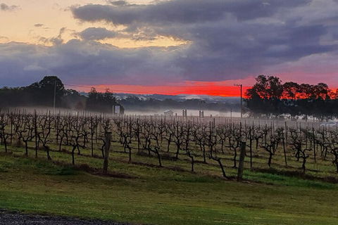 Adina Vineyard - Accommodation in Brisbane 4