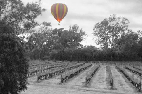 Adina Vineyard - Accommodation in Brisbane 5