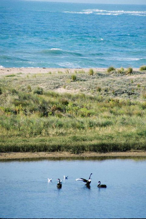 Apollo Bay Guest House - Accommodation in Brisbane 6