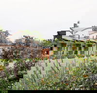 A Must At Coonawarra - Accommodation in Brisbane