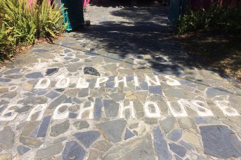 Dolphins Beach House - Accommodation in Brisbane 1