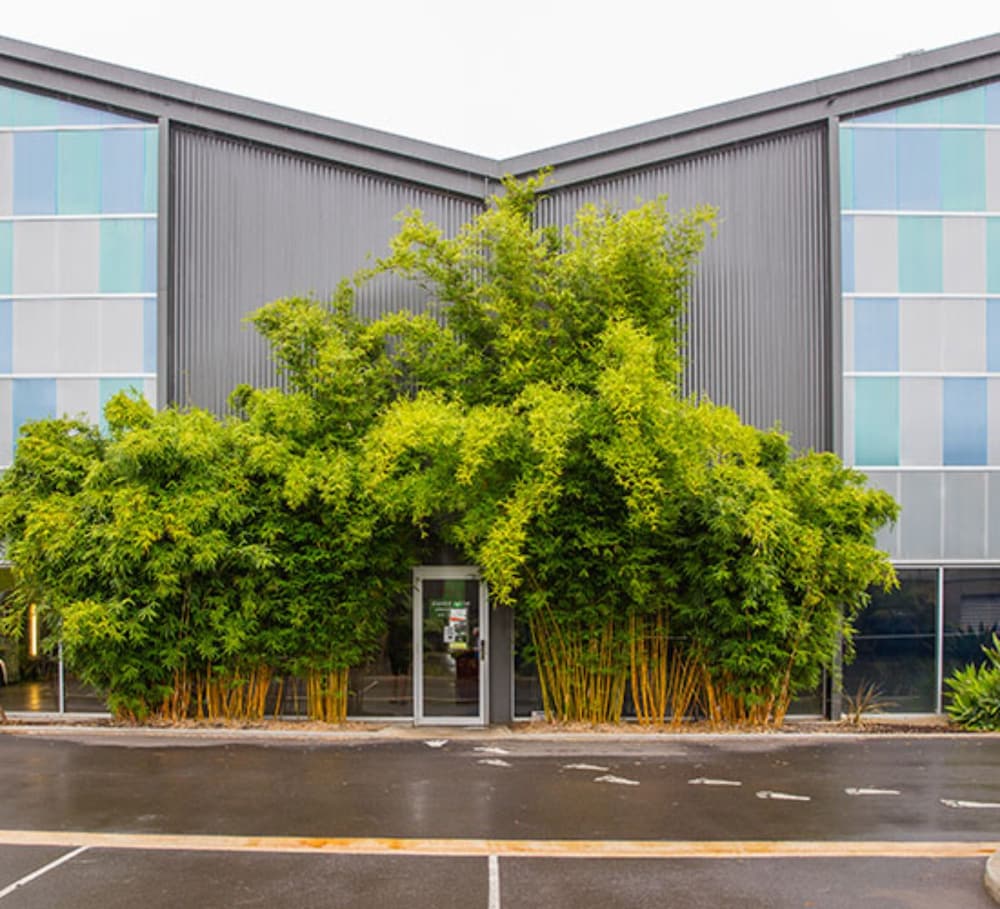 Accommodation in Brisbane