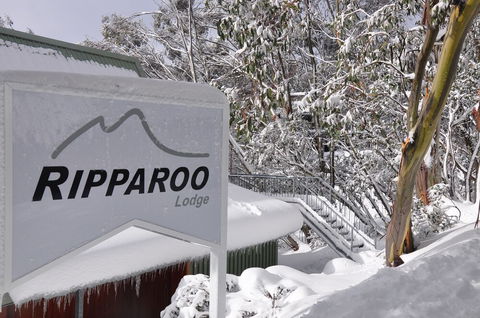 Ripparoo Ski Lodge - Accommodation in Brisbane 1