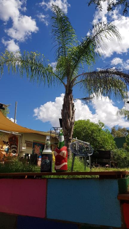 Alices Secret Travellers Inn - Accommodation in Brisbane 1