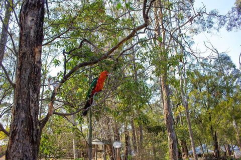 Kalimna Woods Cottages - Accommodation in Brisbane 2