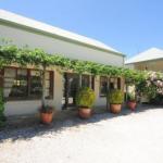 Daisy Cottage - Accommodation in Brisbane 1