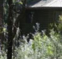 Twin Falls Bush Cottages - Accommodation in Brisbane