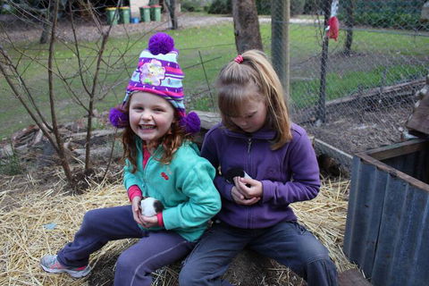 Fernleigh Farmstay & Bike Park - Accommodation in Brisbane 3