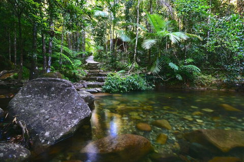 Daintree Cascades - Accommodation in Brisbane 2