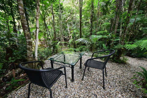 Daintree Cascades - Accommodation in Brisbane 4