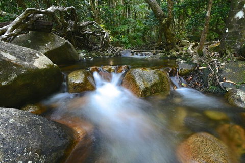 Daintree Cascades - Accommodation in Brisbane 1