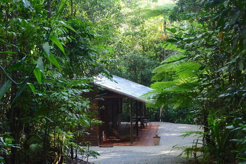 Daintree Cascades - Accommodation in Brisbane 3
