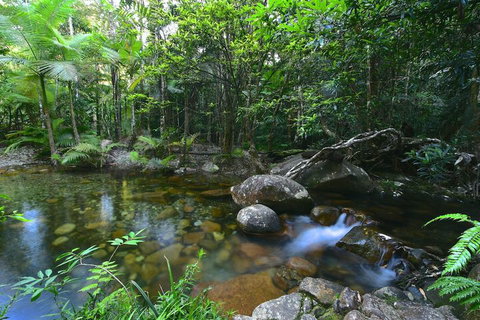 Daintree Cascades - Accommodation in Brisbane 5